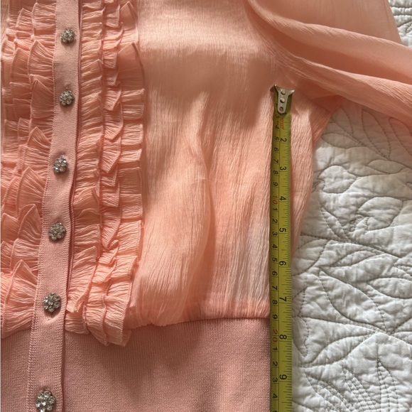 ZARA Sheer Blush Blouse | Crystal Flower Buttons Knit Waist /Romantic - Picture 8 of 10